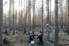 People working with a field study in a forest