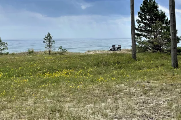 A view over a sandy shore with grass from the upper end of the beach.