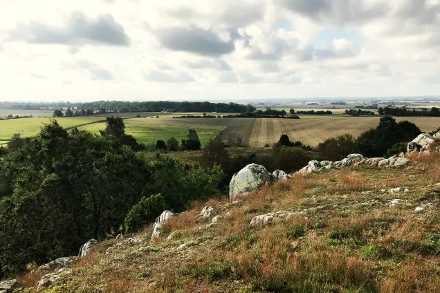 Landskapsbild med skog i förgrunden och jordbruk i bakgrunden