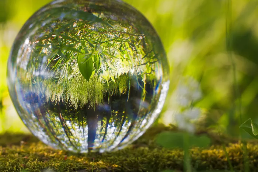 A glass globe showing a world of grass. Photo.